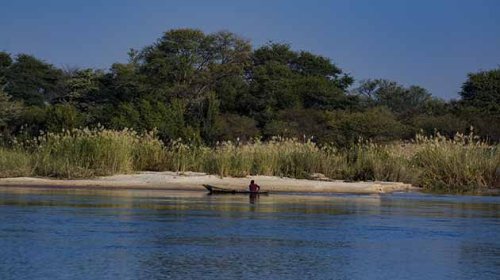 Lone fisherman in a mokoro